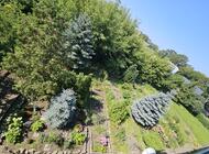 Grajewo ogłoszenia: Na sprzedaż mieszkanie 3-pokojowe o powierzchni 67,8 m?,... - zdjęcie